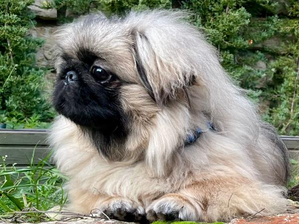 Прикрепленное изображение: IMG-20241019-WA0045.jpg